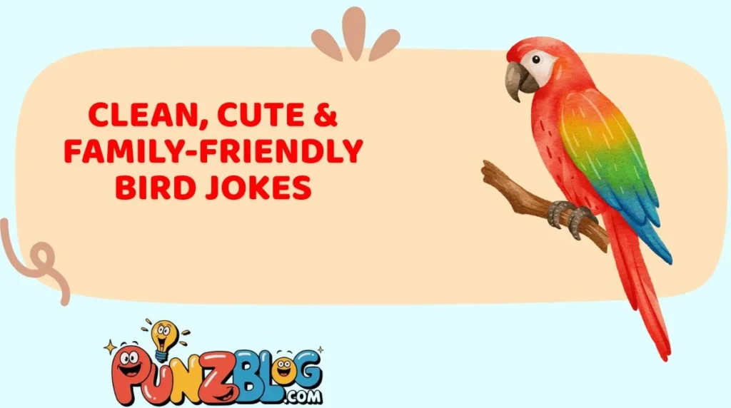 Clean, Cute & Family-Friendly Bird Jokes