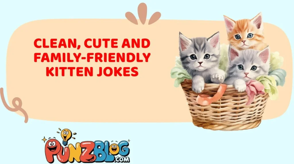 Clean, Cute and Family-Friendly Kitten Jokes