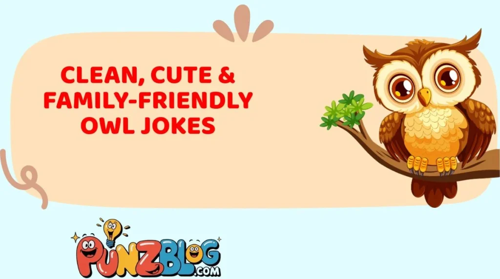 Clean, Cute & Family-Friendly Owl Jokes