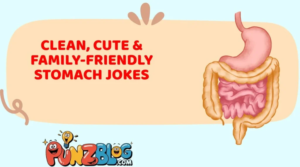 Clean, Cute & Family-Friendly Stomach Jokes