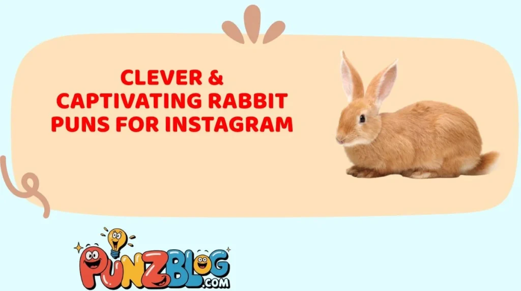 Clever & Captivating Rabbit Puns for Instagram