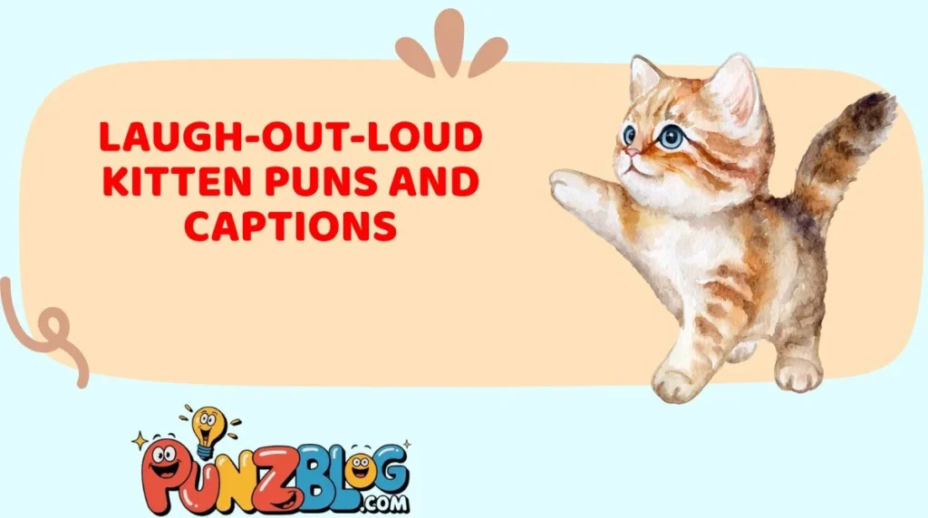 Laugh-Out-Loud Kitten Puns and Captions