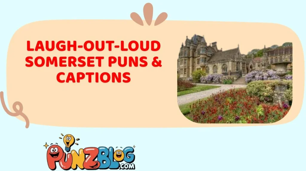 Laugh-Out-Loud Somerset Puns & Captions