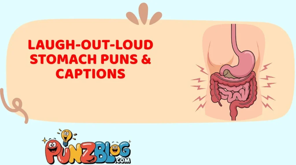 Laugh-Out-Loud Stomach Puns & Captions