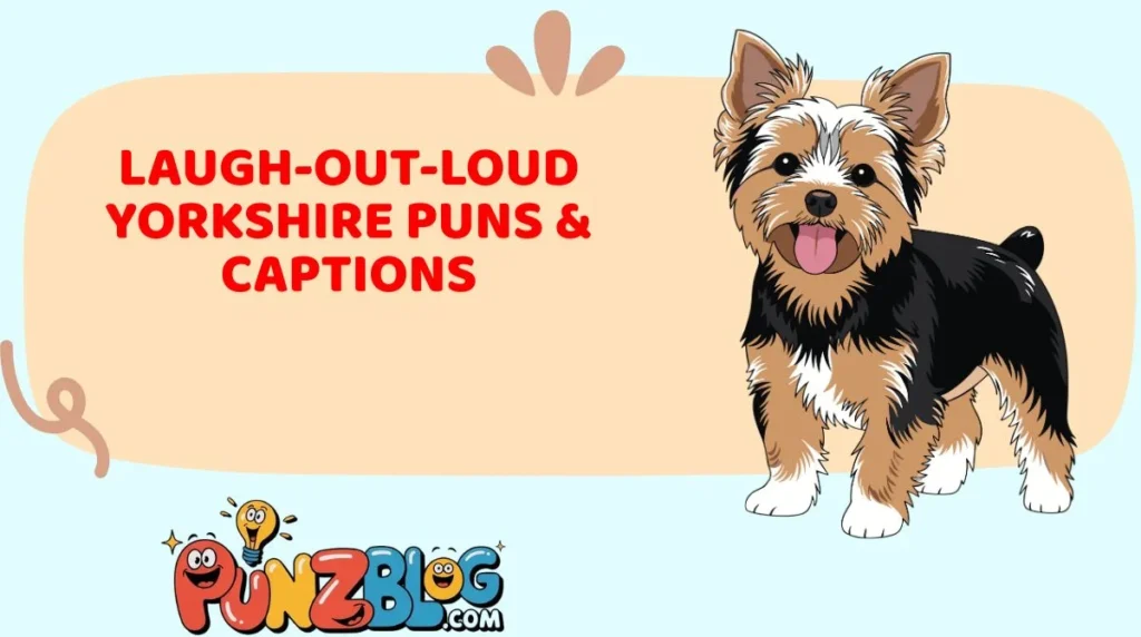 Laugh-Out-Loud Yorkshire Puns & Captions