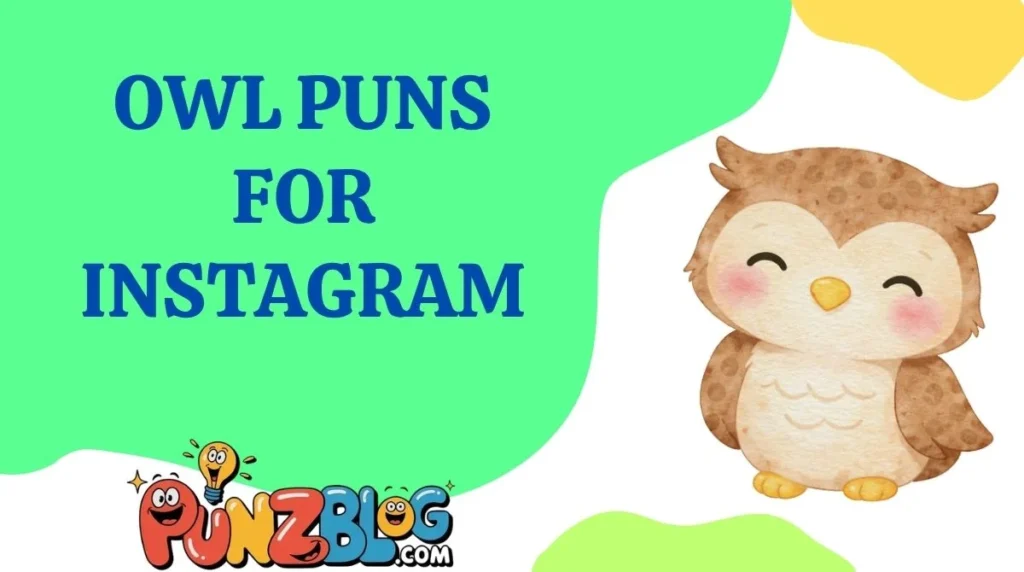 Owl Puns for Instagram