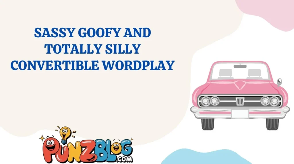 Sassy Goofy and Totally Silly Convertible Wordplay