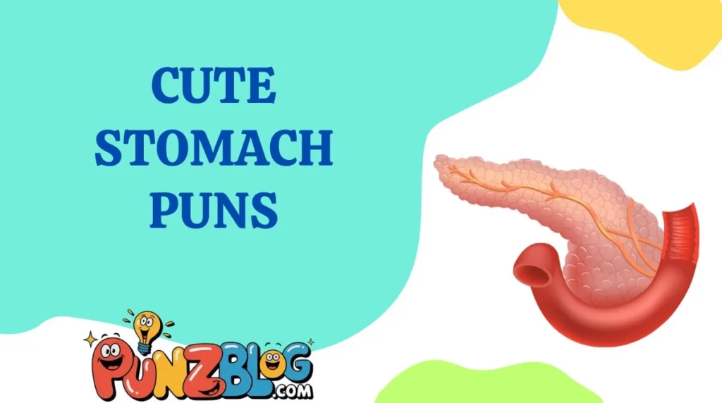 Cute Stomach Puns