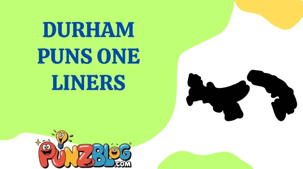 Durham Puns One Liners
