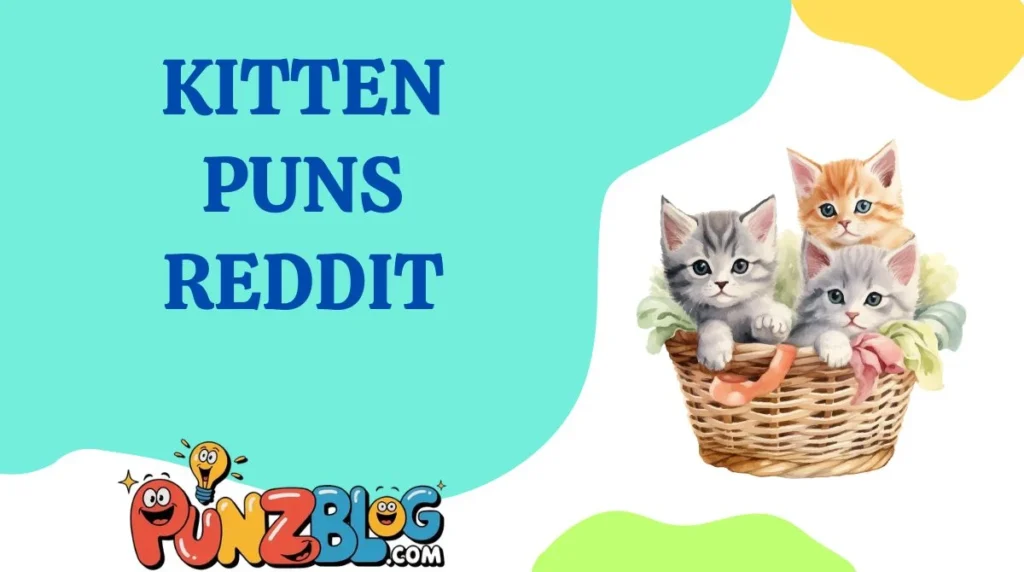 Kitten Puns Reddit