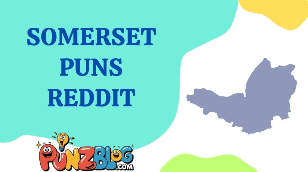 Somerset Puns Reddit