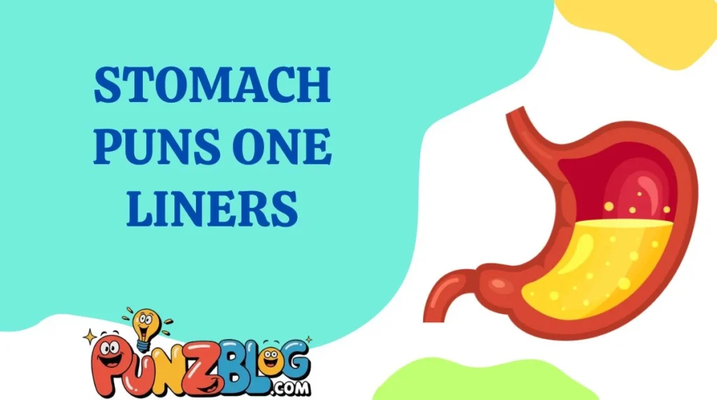 Stomach Puns One Liners