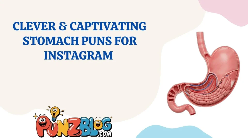 Clever & Captivating Stomach Puns for Instagram
