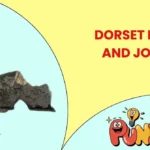 Dorset Puns and Jokes