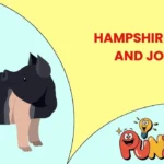 Hampshire Puns and Jokes