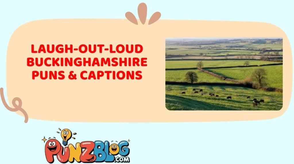 Laugh-Out-Loud Buckinghamshire Puns & Captions