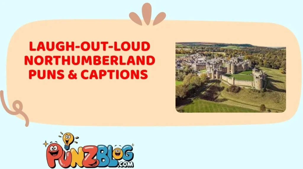 Laugh-Out-Loud Northumberland Puns & Captions