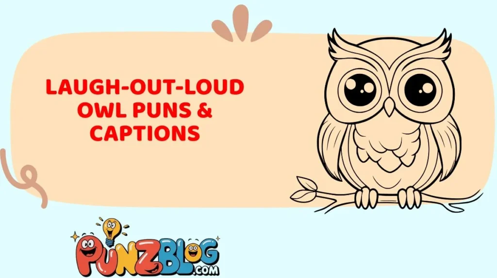 Laugh-Out-Loud Owl Puns & Captions