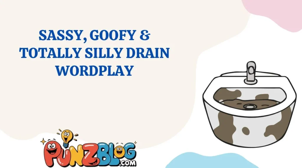 Sassy, Goofy & Totally Silly Drain Wordplay