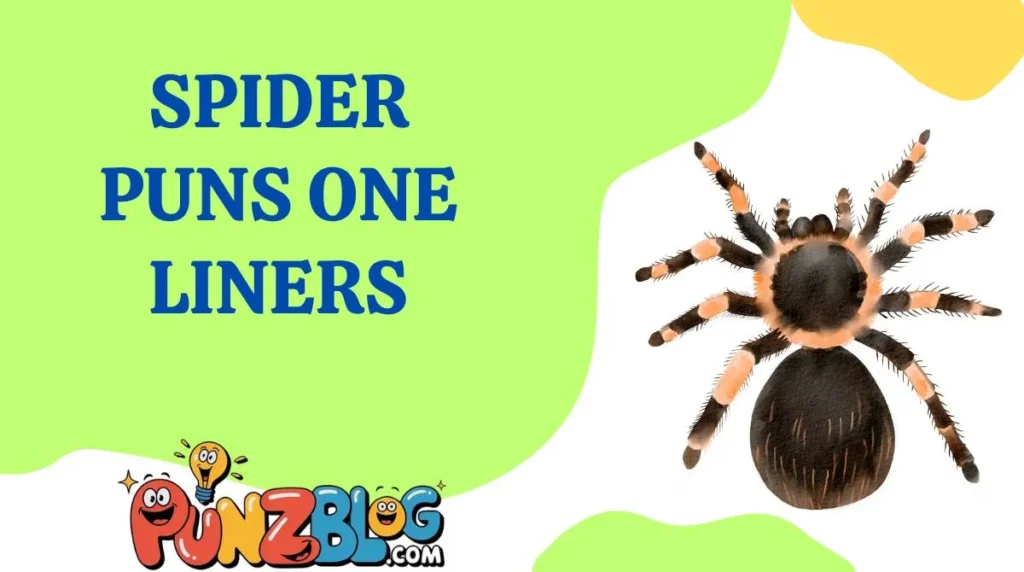 Spider Puns One Liners