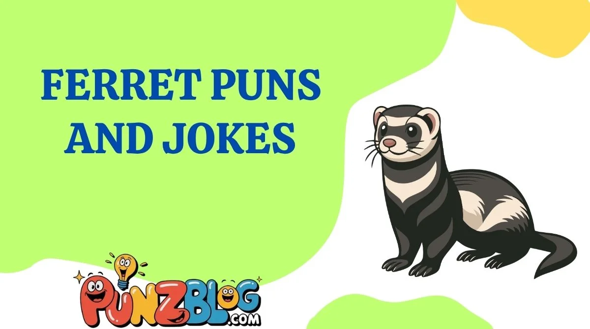 Ferret Puns and Jokes