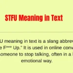 STFU Meaning in Text