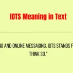 IDTS Meaning in Text