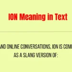 ION Meaning in Text