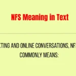NFS Meaning in Text