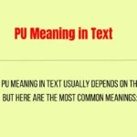 PU Meaning in Text