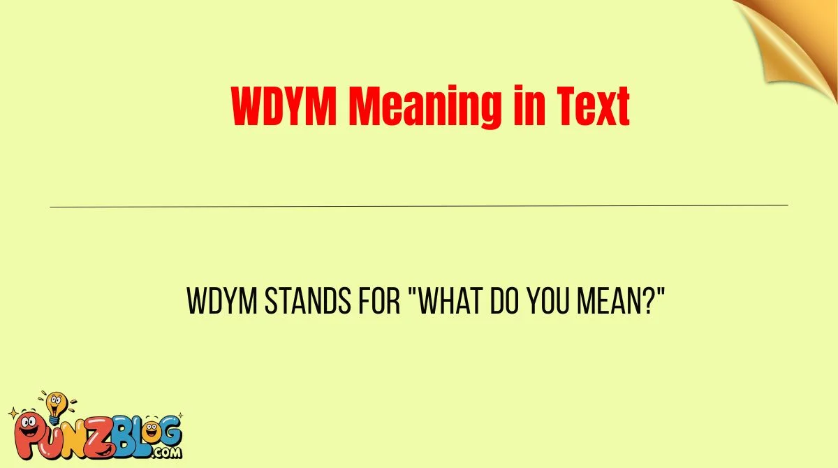 WDYM Meaning in Text