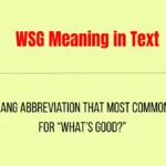 WSG Meaning in Text
